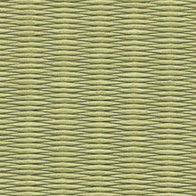 Load image into Gallery viewer, Seiryu SILVER GREEN