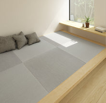 Load image into Gallery viewer, Seiryu SILVER GRAY
